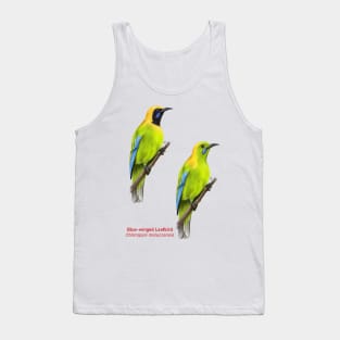 Blue-winged Leafbird | Chloropsis moluccensis ⚥ Tank Top